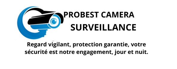 société camera surveillance