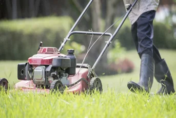 Entreprise enlèvement des herbes